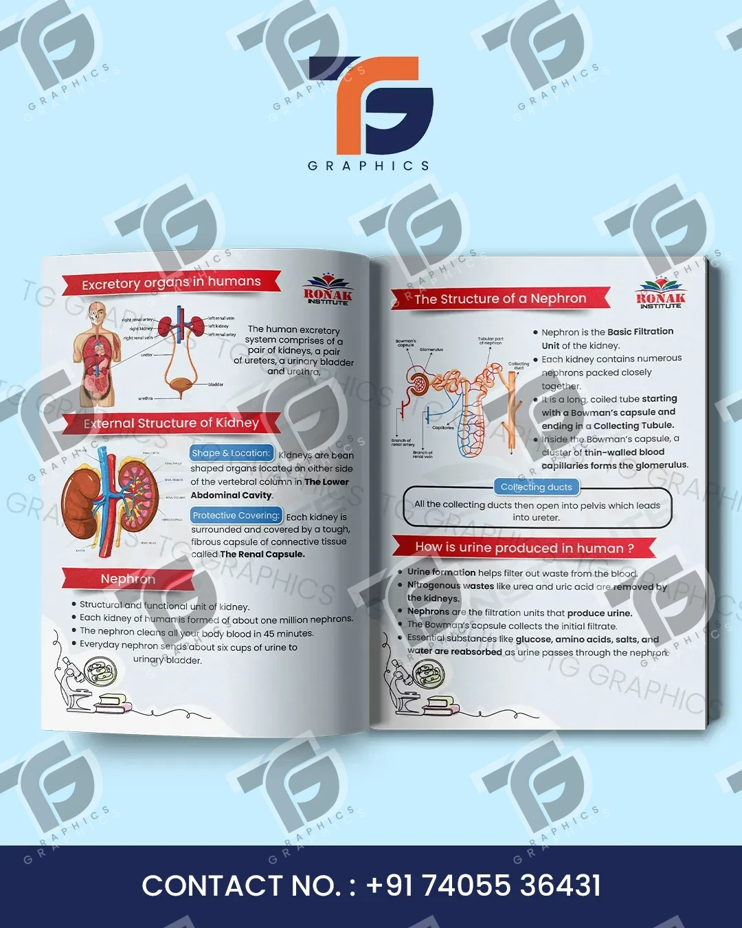 Biology editorial layout with diagrams and red headings