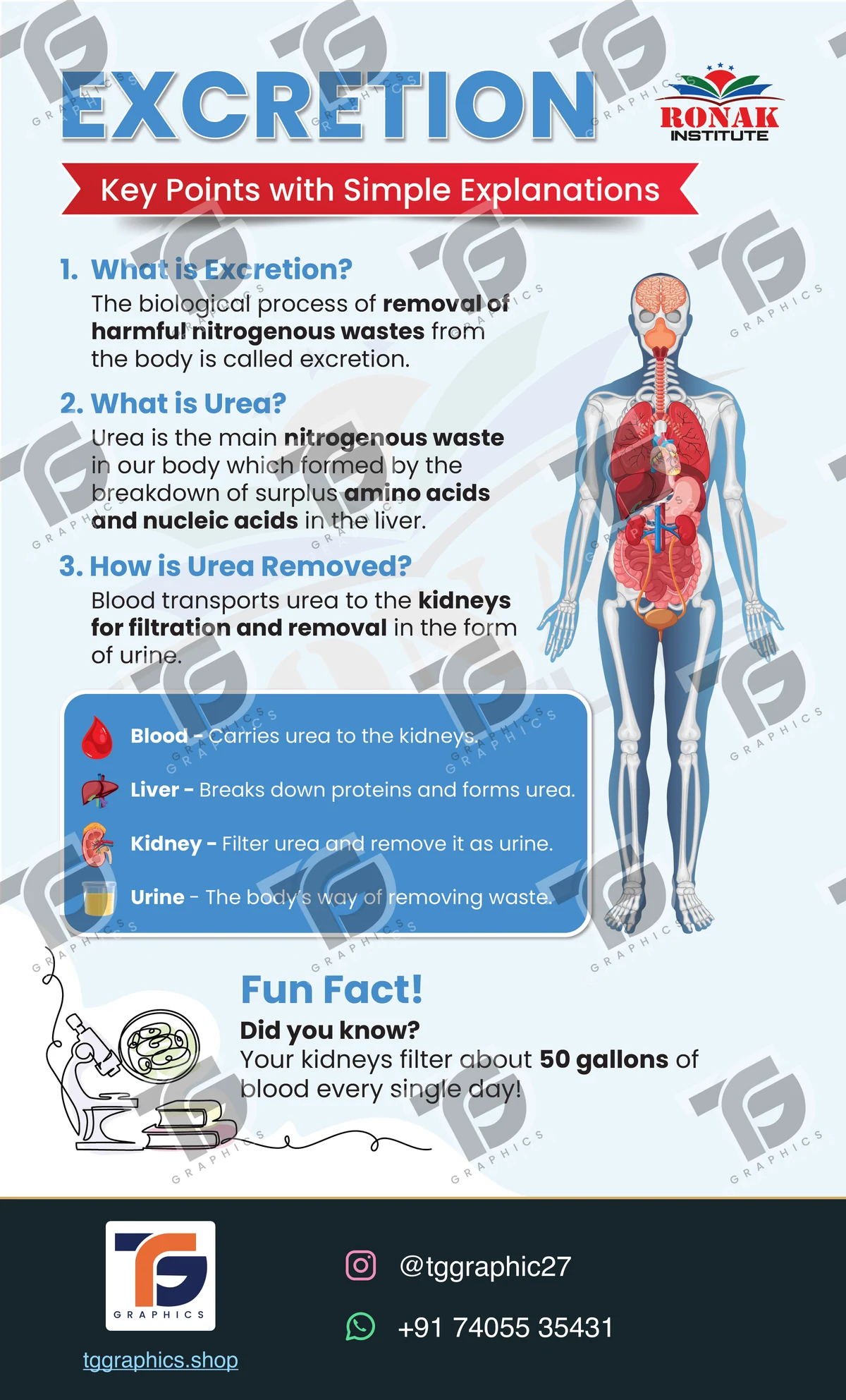 Editorial layouts · Biology publication · Design 1 with TG Graphics watermark