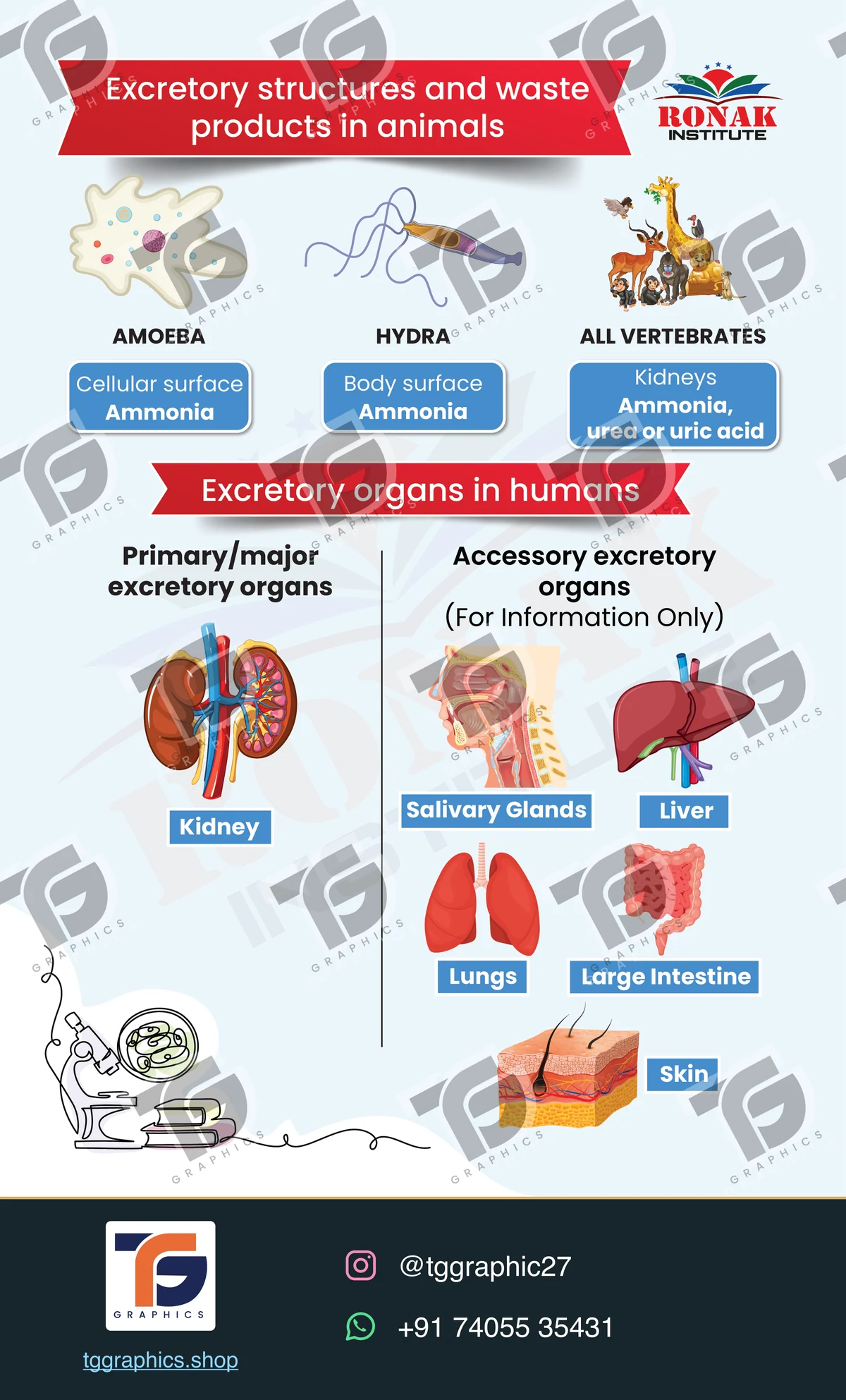 Editorial layouts · Biology publication · Design 2 with TG Graphics watermark