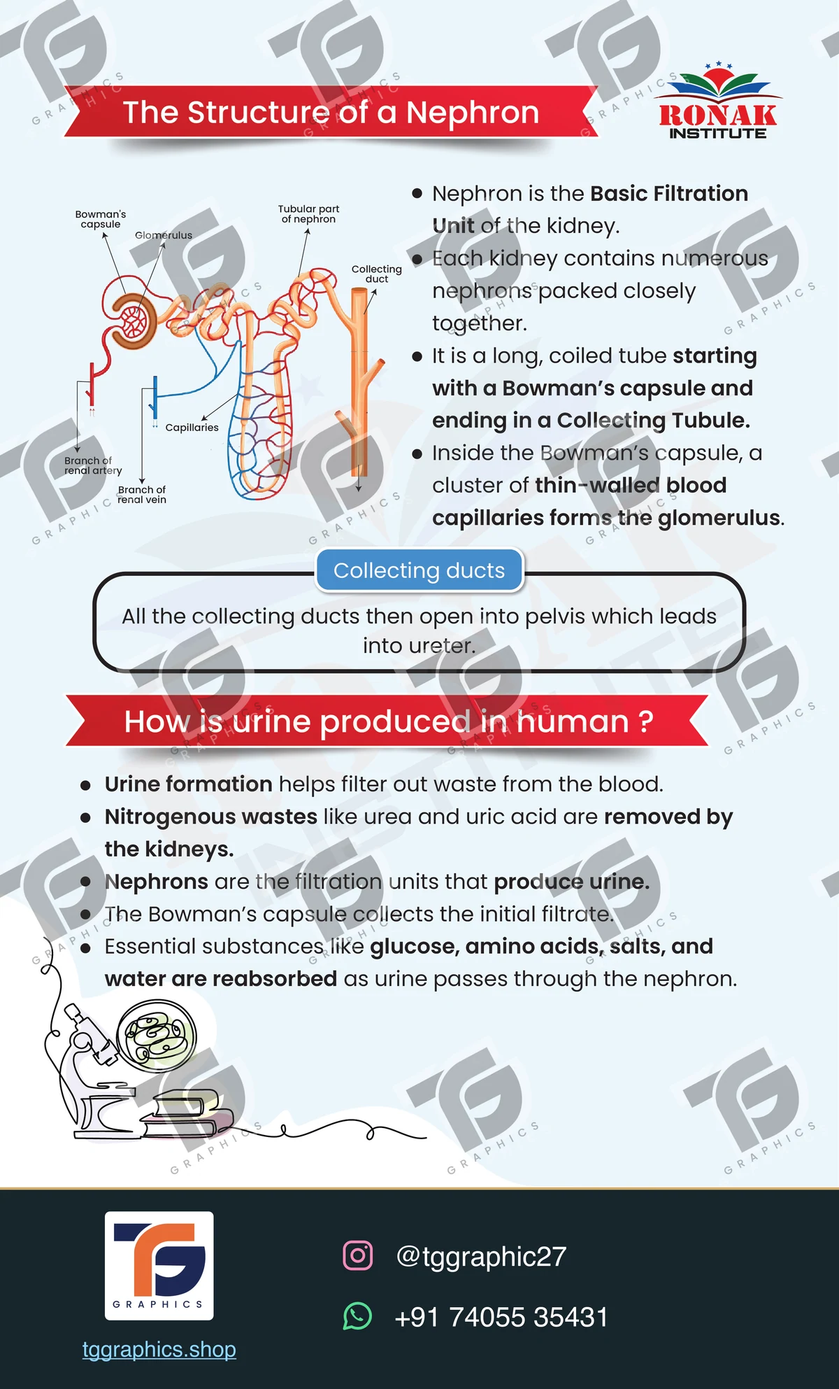 Editorial layouts · Biology publication · Design 4 with TG Graphics watermark